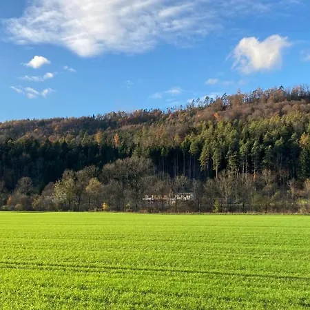 Pearls - Stilvolle Zwischen Dem Schwarzwald & Der Schweiz Apartment *